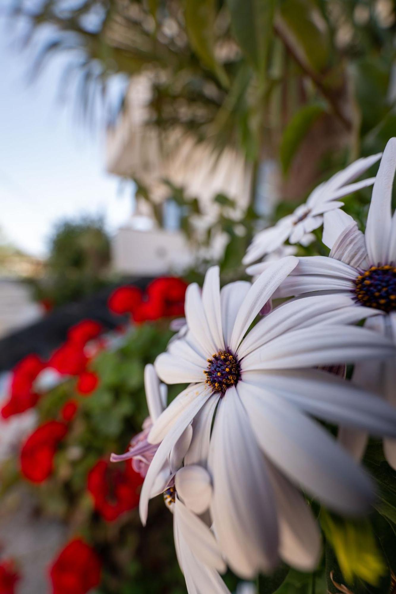 קסאמיל Guesthouse Siars מראה חיצוני תמונה